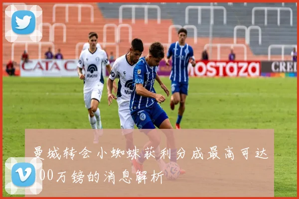 曼城转会小蜘蛛获利分成最高可达800万镑的消息解析